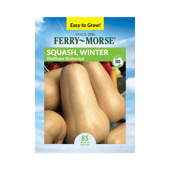 Ferry-Morse 2.5G Squash Waltham Butternut Annual Vegetable Seeds, Full Sun
