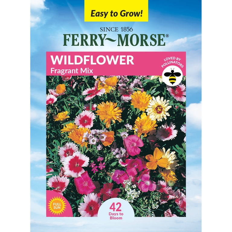 Ferry-Morse 2.8G Wildflower Fragrant Mixture Annual Flower Seeds