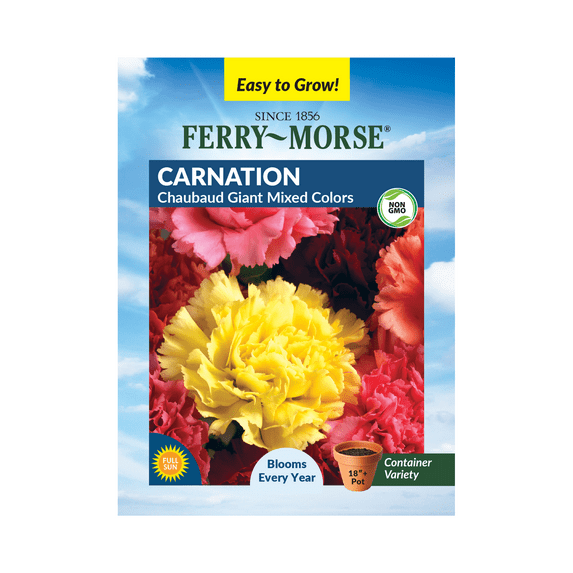 Ferry-Morse 240MG Carnation Chaubaud Giant Mixed Colors Perennial Flower Seeds, Full Sun