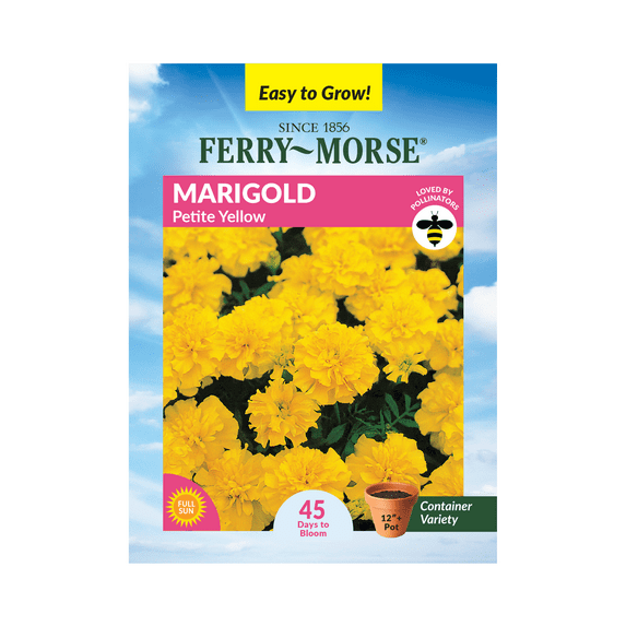 Ferry-Morse 240MG Marigold Petite Yellow Annual Flower Seeds, Full Sun