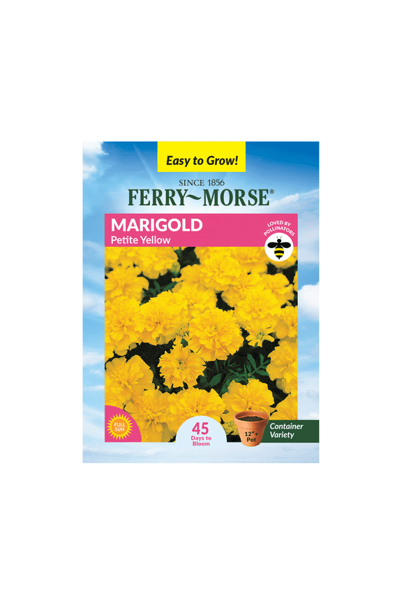 240MG Marigold Petite Yellow Annual Flower Seeds, Full Sun