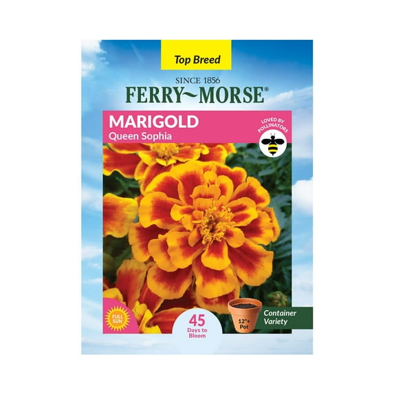 Ferry-Morse 240MG Marigold Queen Sophia Annual Flower Seeds, Full Sun