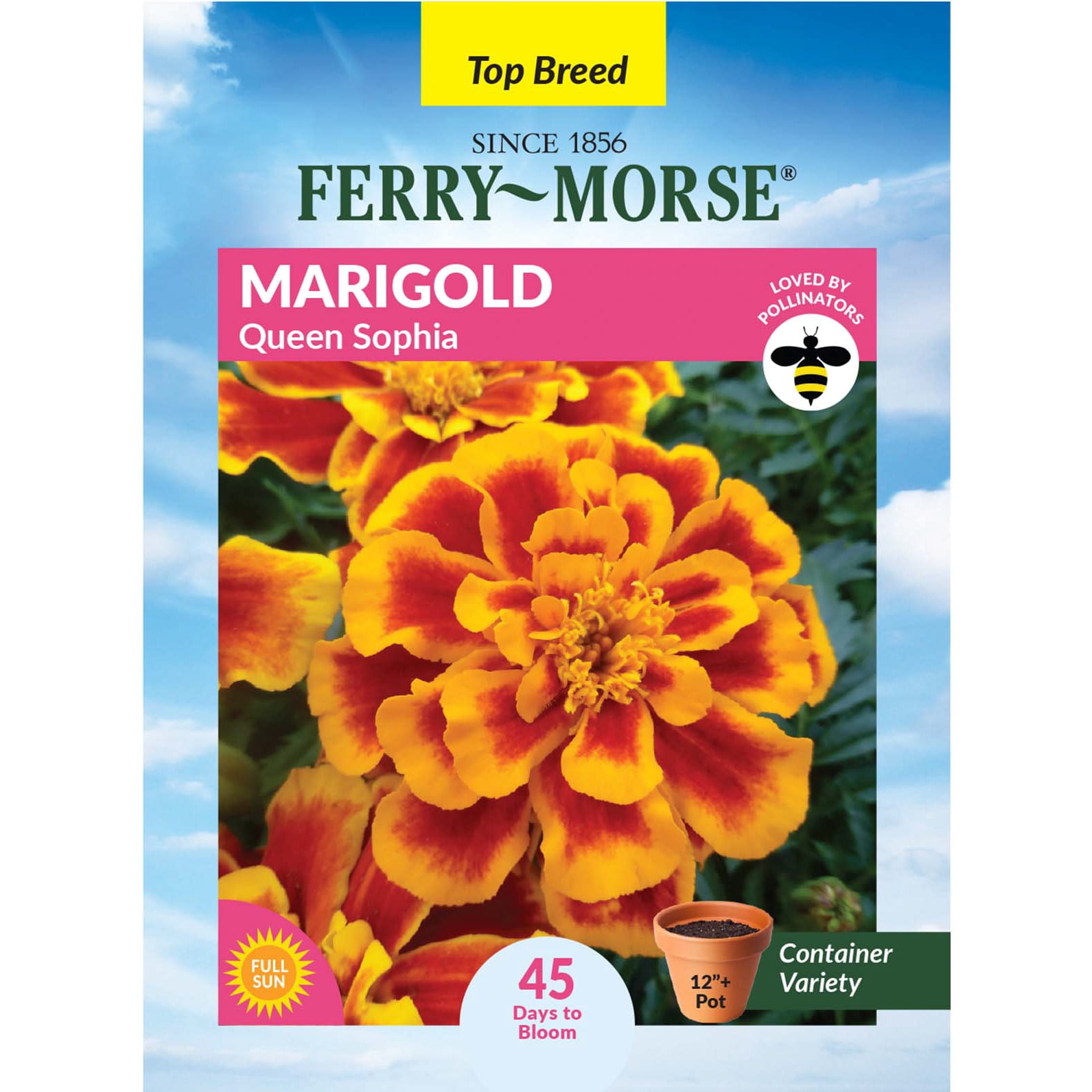 Ferry-Morse 240MG Marigold Queen Sophia Annual Flower Seeds, Full Sun -  Walmart.com