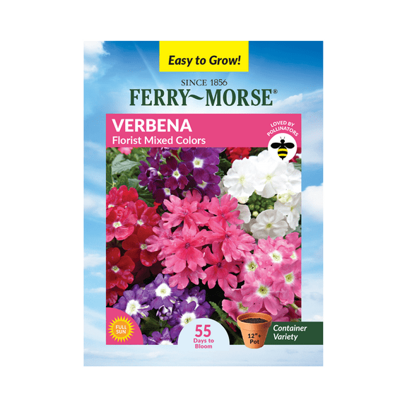 Ferry-Morse 240MG Verbena Florist Mixed Colors Annual Flower Seeds, Full Sun