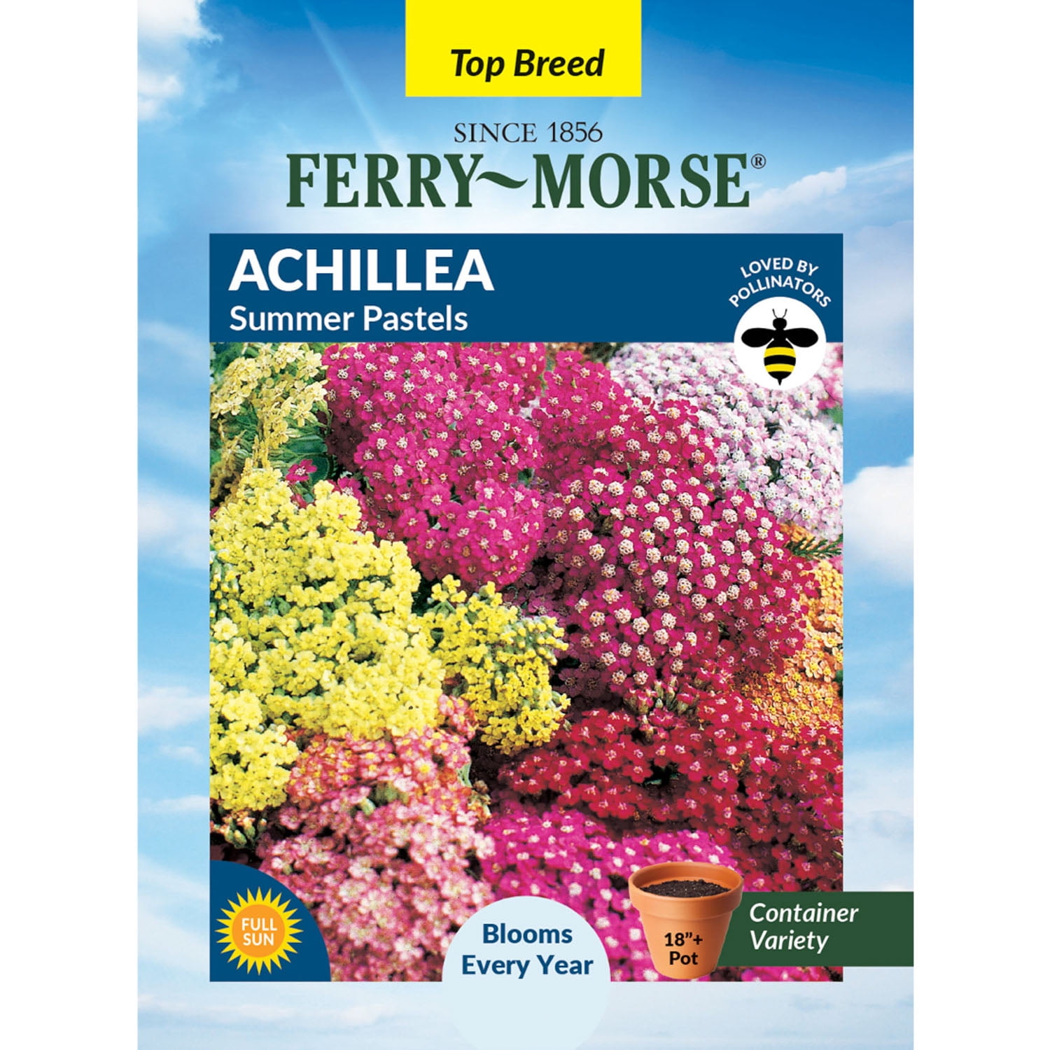 Ferry-Morse 25 PS Achillea Summer Pastels Perennial Flower Seeds, Full Sun