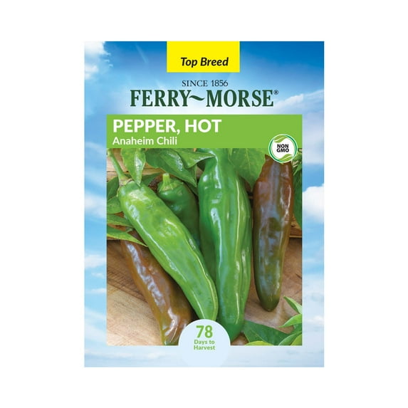 Ferry-Morse 250MG Pepper Anaheim Chili Annual Vegetable Seeds, Full Sun