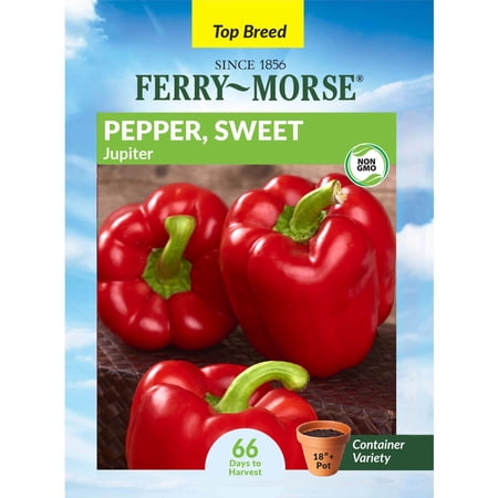 Ferry-Morse 250MG Pepper Jupiter Annual Vegetable Seeds, Full Sun