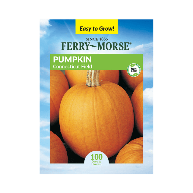FerryMorse 2700MG Pumpkin Connecticut Field Vegetable Plant Seeds Full