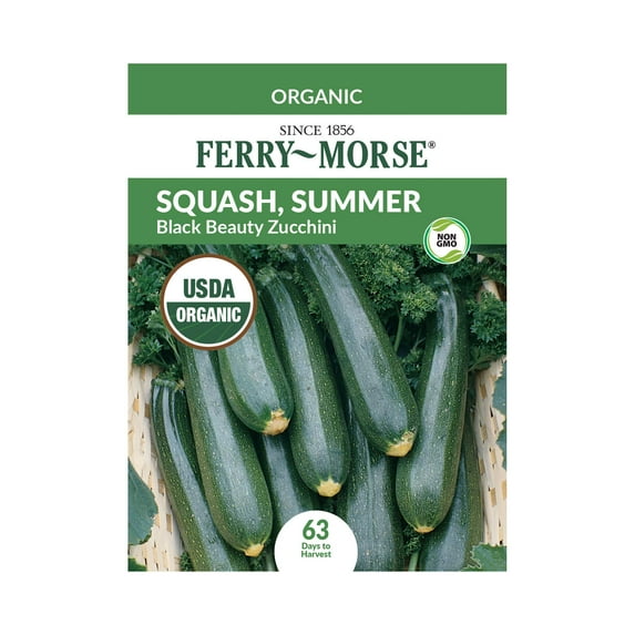 Ferry-Morse Organic 2G Squash Black Beauty Zucchini Annual Vegetable Seeds, Full Sun