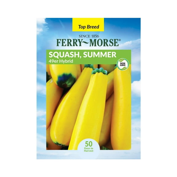 Ferry-Morse 2G Squash 49er Hybrid Annual Vegetable Seeds, Full Sun