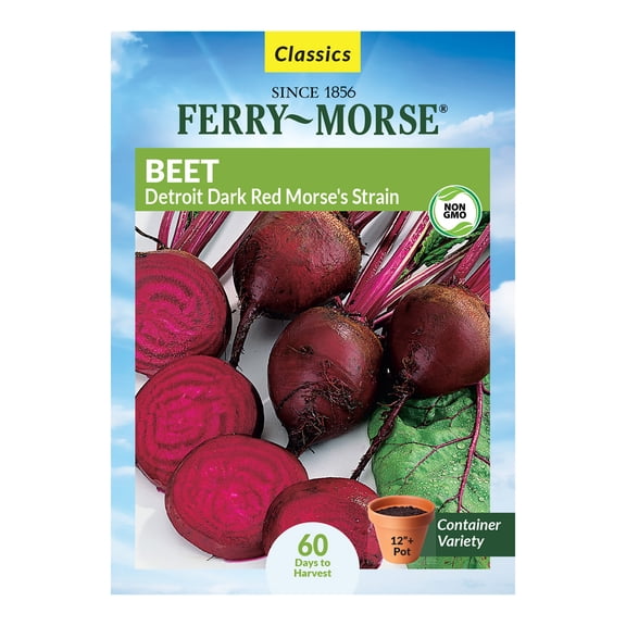Ferry-Morse 3.1G Beet Detroit Dark Red Morse's Strain Annual Vegetable Seeds, Full Sun