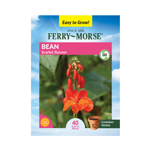 Ferry-Morse 3.25G Scarlet Runner Bean Annual Flower Seeds, Full Sun