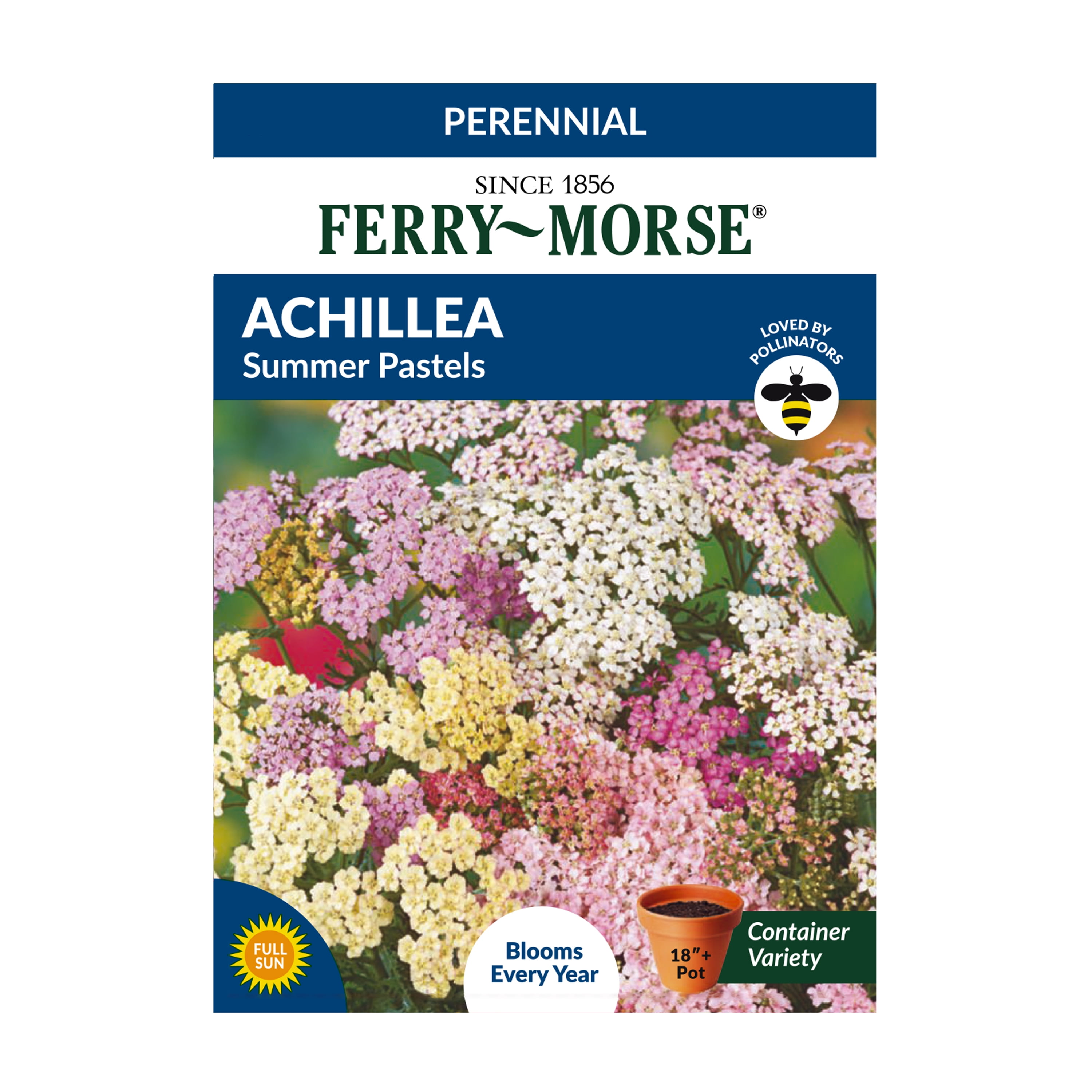 FerryMorse 30 Achillea Summer Pastels Flower Seeds Packet