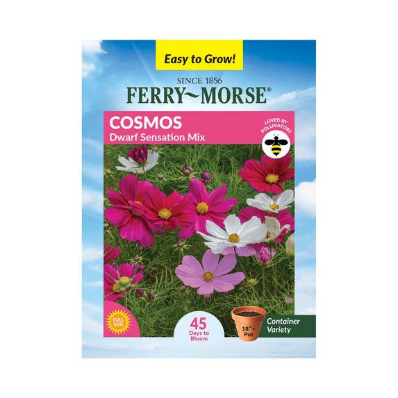 Ferry-Morse 300MG Cosmos Dwarf Sensation Mix Annual Flower Seeds, Full Sun