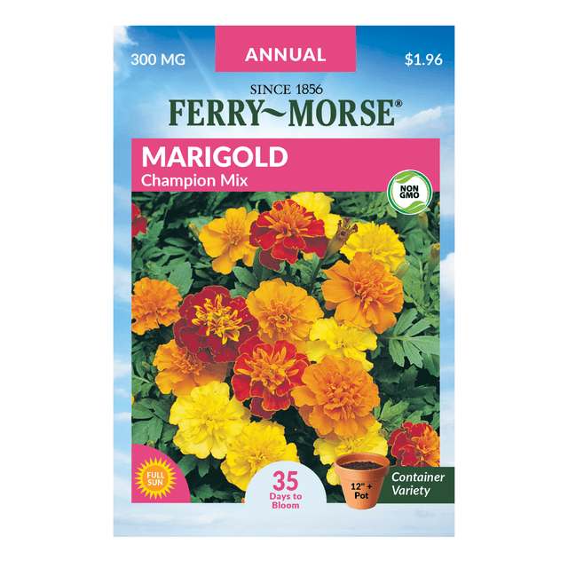 FerryMorse 30MG Marigold Champion Annual Flower Seeds (1 Pack) Seed
