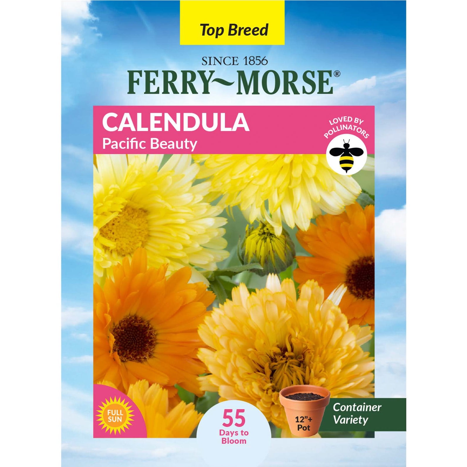 Indoor Flower Seeds