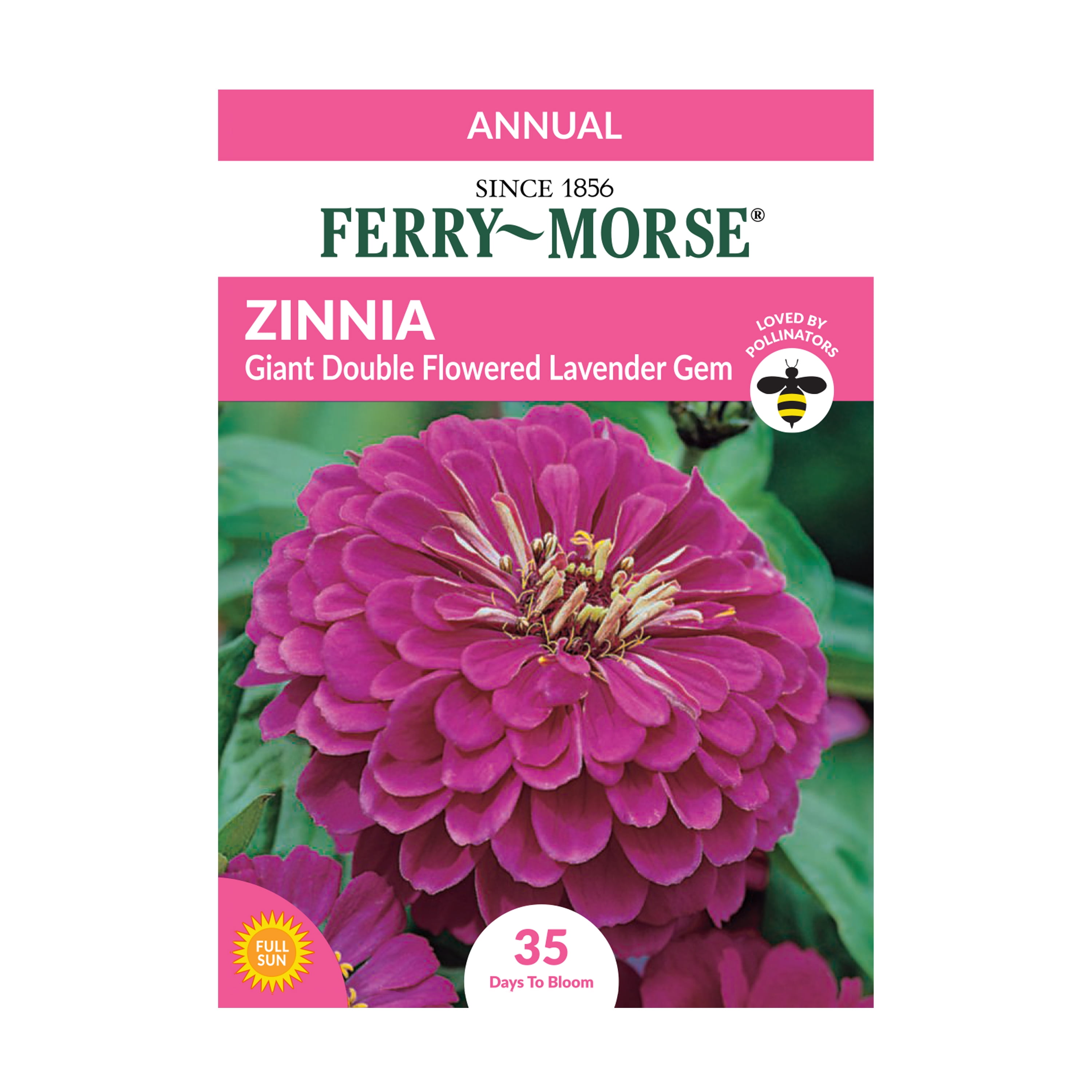 Ferry-Morse 37.5MG Zinnia Giant Double Flowered Lavender Gem