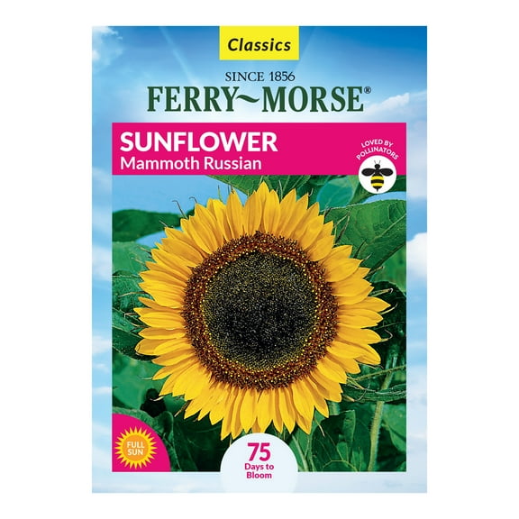 Ferry-Morse 4.75G Sunflower Mammoth Annual Flower Seeds, Full Sun