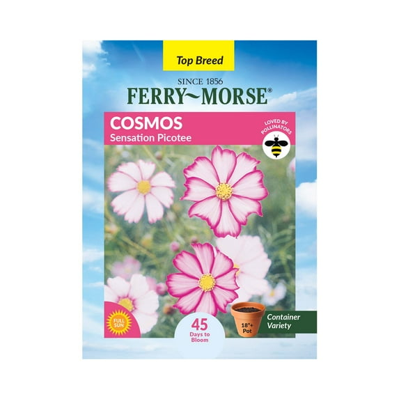 Ferry-Morse 400MG Cosmos Sensation Picotee Annual Flower Seeds, Full Sun