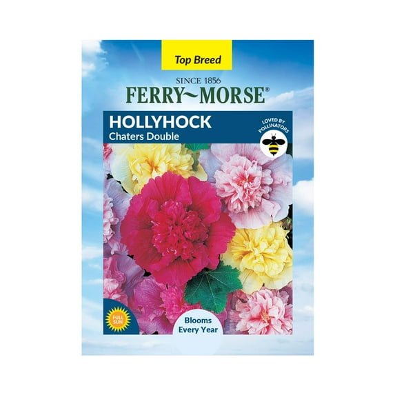 Ferry-Morse 400MG Hollyhock Summer Carnival Mix Annual Flower Seeds, Full Sun