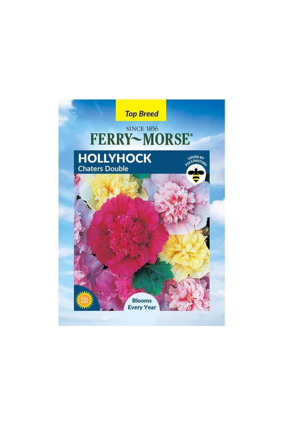 400MG Hollyhock Summer Carnival Mix Annual Flower Seeds, Full Sun