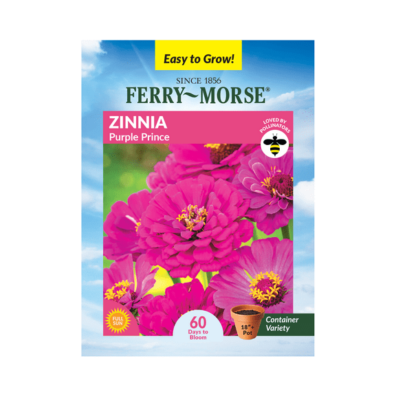 Ferry-Morse 400MG Zinnia Purple Prince Annual Flower Seeds, Full Sun