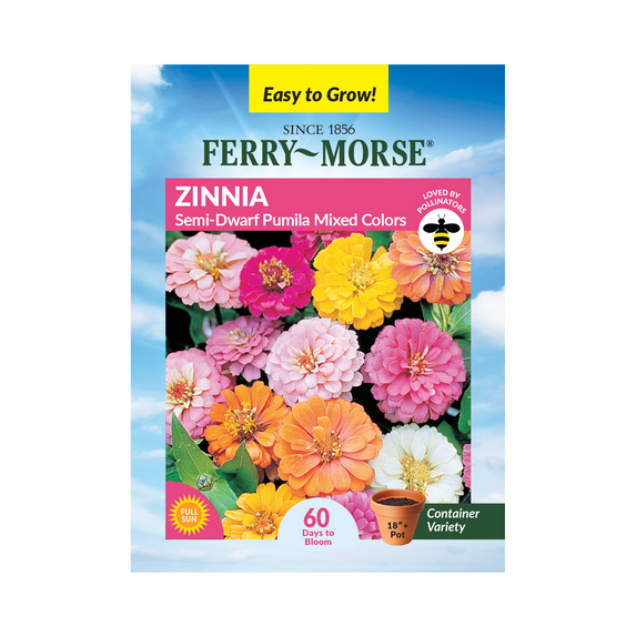 Ferry-Morse 400MG Zinnia Semi Dwarf Pumila Mixed Colors Annual Flower Seeds, Full Sun