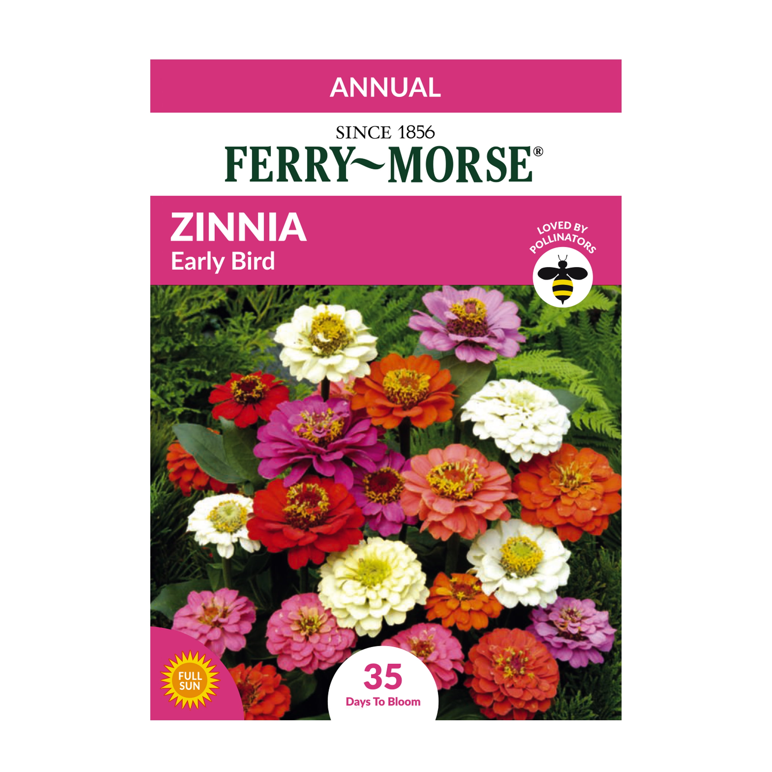 b*i様 現行✨極美品✨monshiro nerine flower pierc Periwinkle Brooch - Getty Museum Store