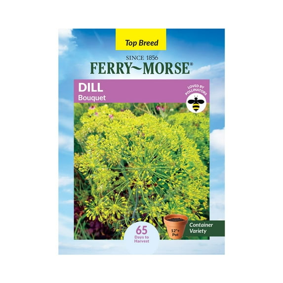 Ferry-Morse 425MG Dill Bouquet Annual Herb Seeds, Full Sun