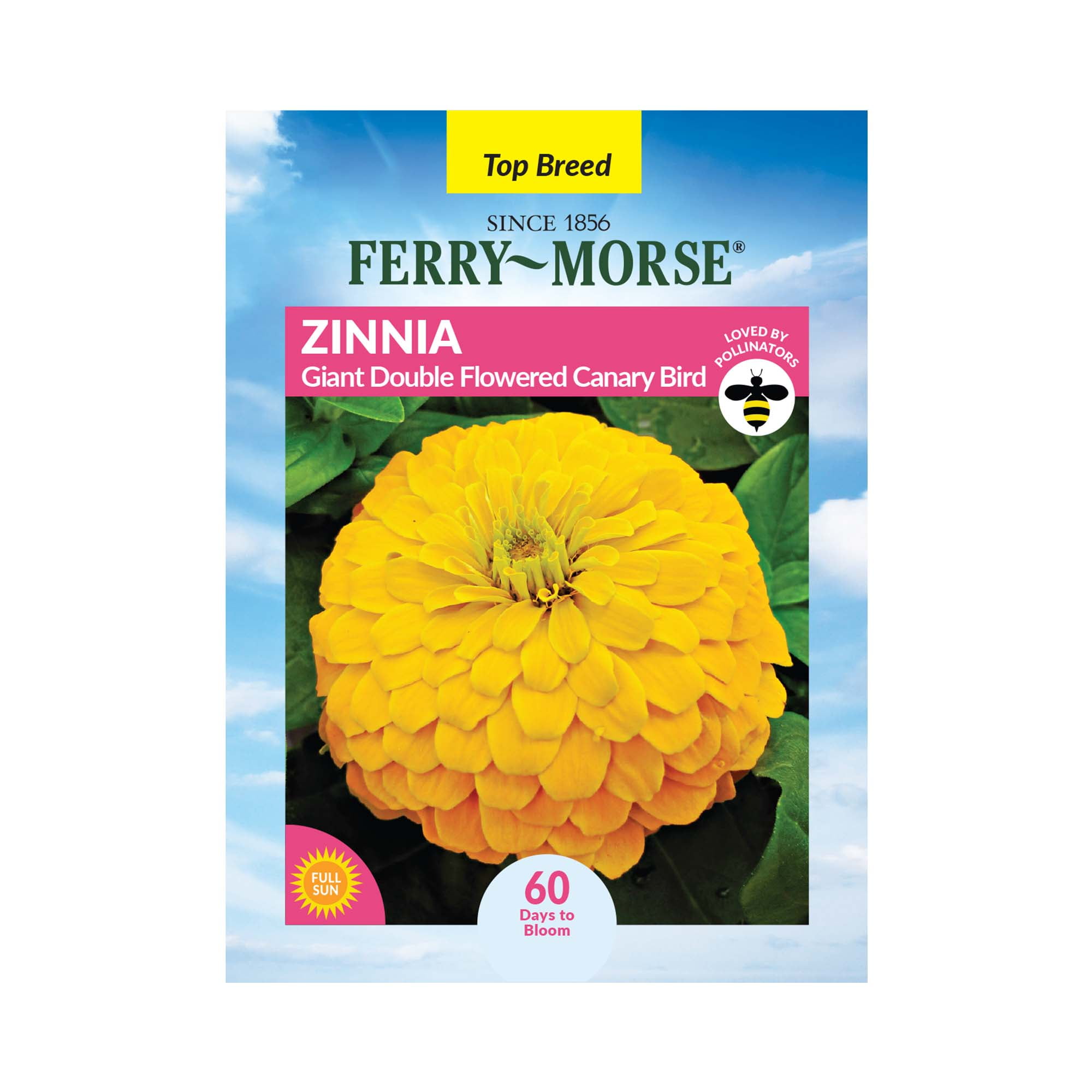 FerryMorse 400MG Zinnia Giant Double Flowered Canary Bird Annual