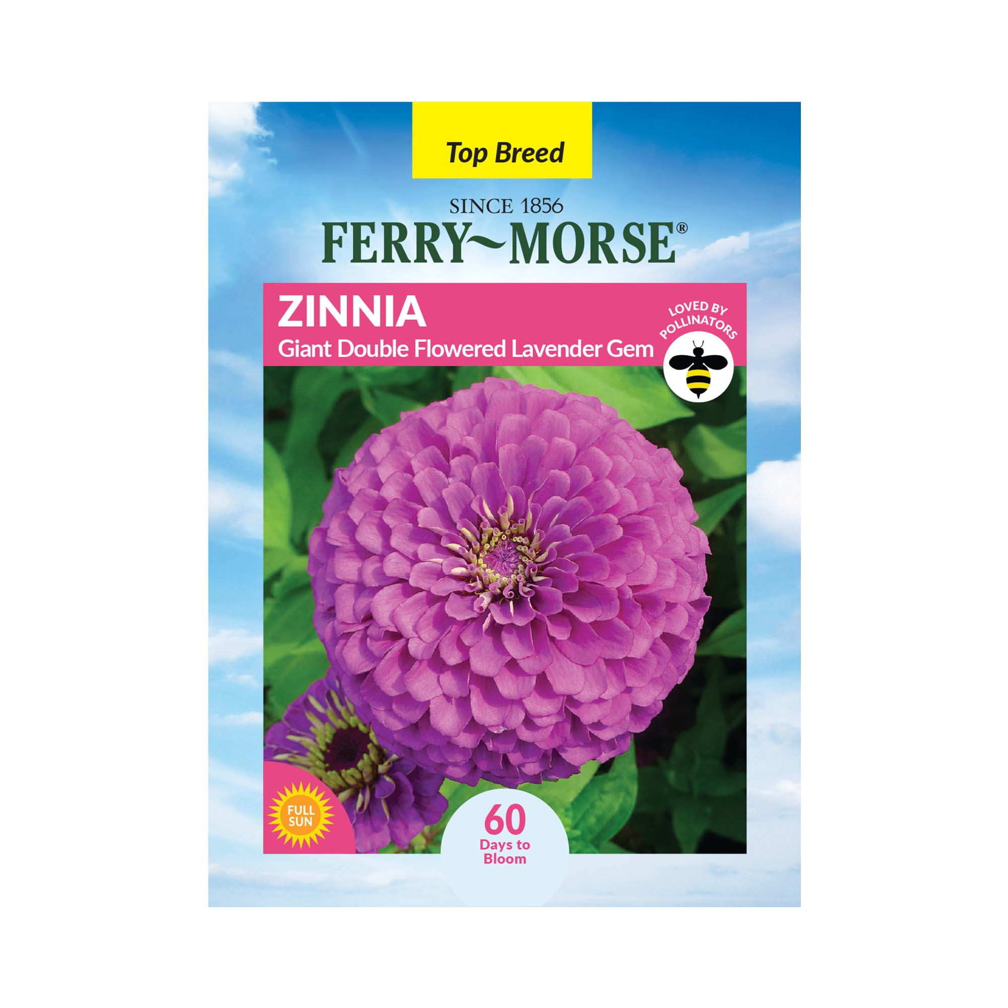 FerryMorse 450MG Zinnia Giant Double Flowered Lavender Gem Annual