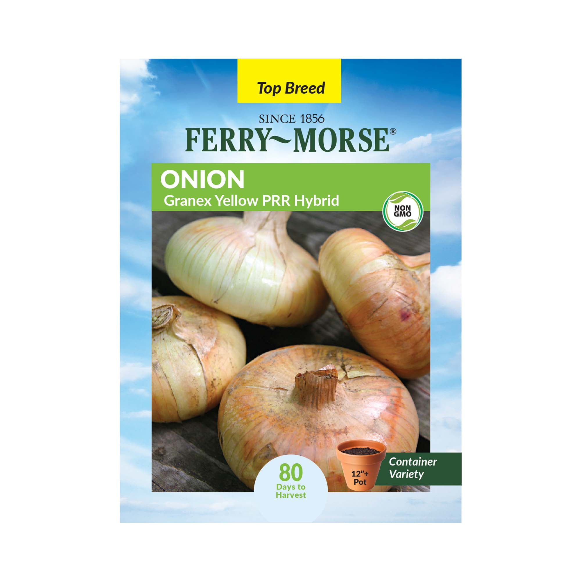 Ferry-Morse-480MG-Onion-Hybrid