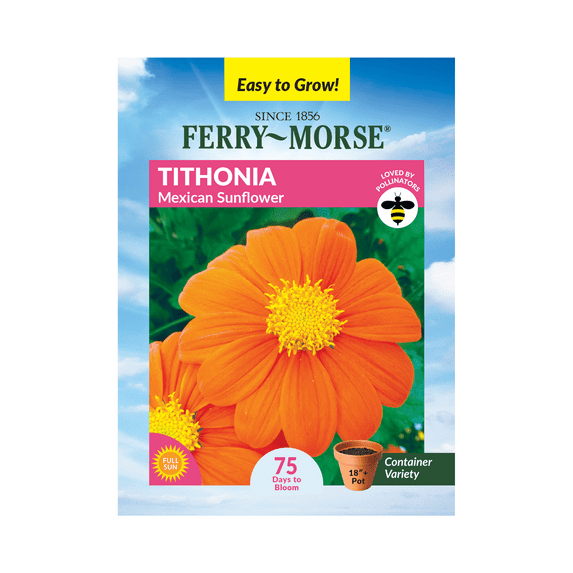 Ferry-Morse 480MG Tithonia Mexican Sunflower Annual Flower Seeds, Full Sun