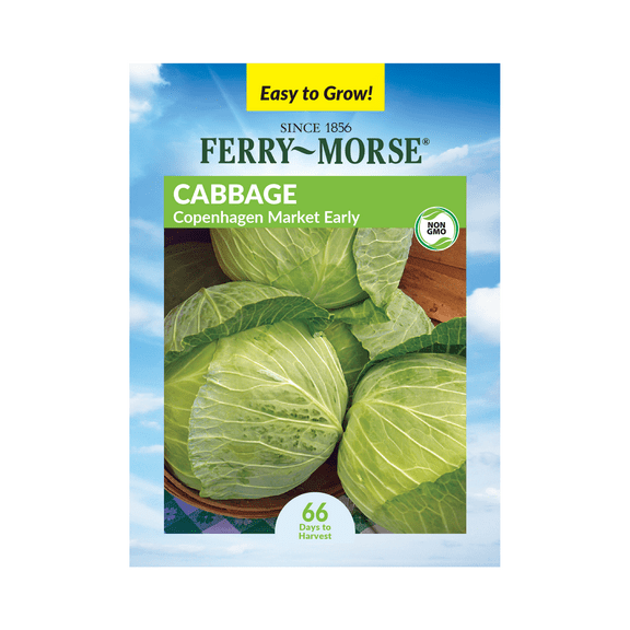 Ferry-Morse 500MG Cabbage Copenhagen Market Early Annual Vegetable Seeds, Full Sun