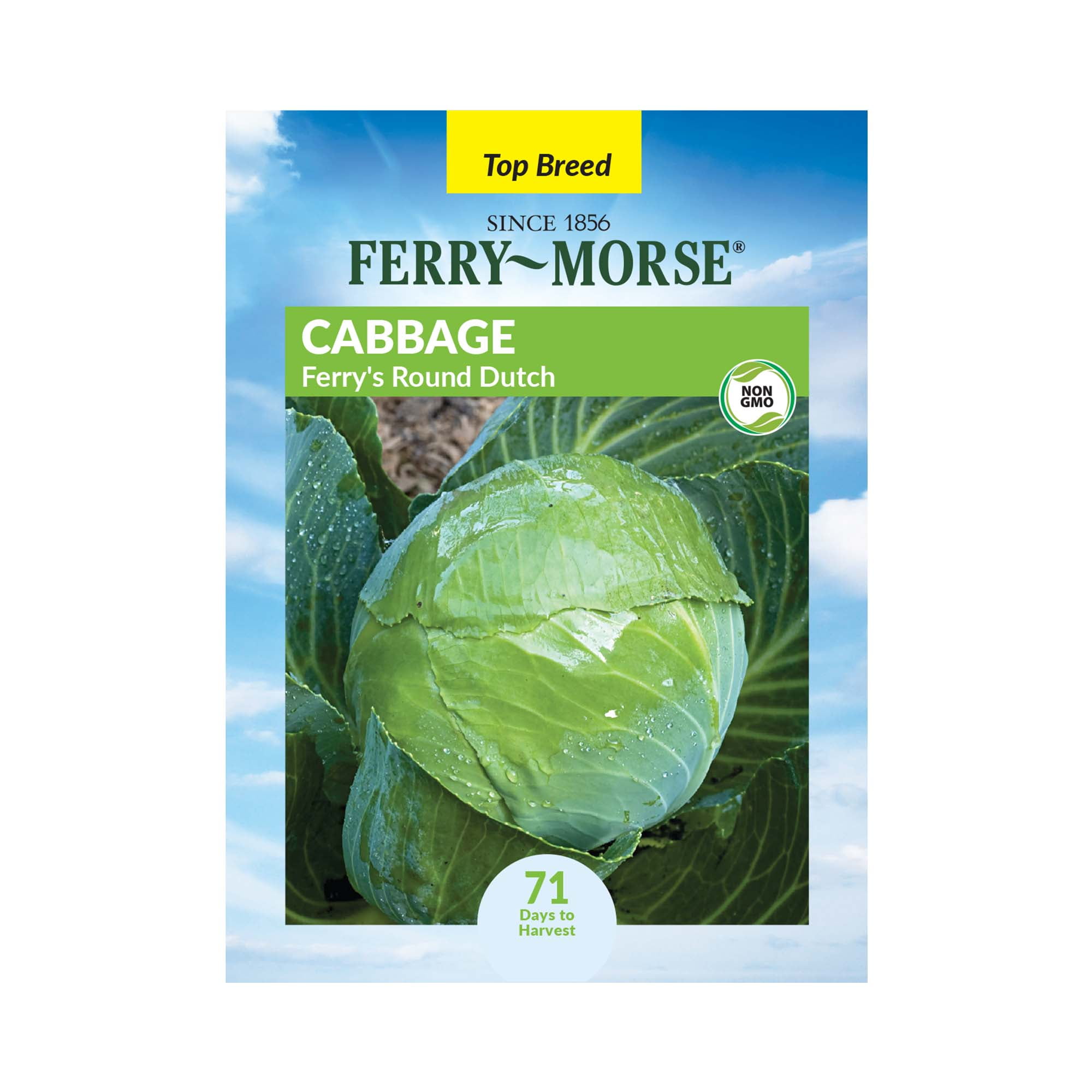 FerryMorse 500MG Cabbage Ferry's Round Dutch Annual Vegetable Seeds