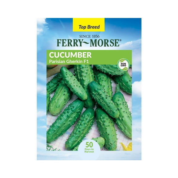 Ferry-Morse 500MG Cucumber Parisian Gherkin F1 Annual Vegetable Seeds, Full Sun