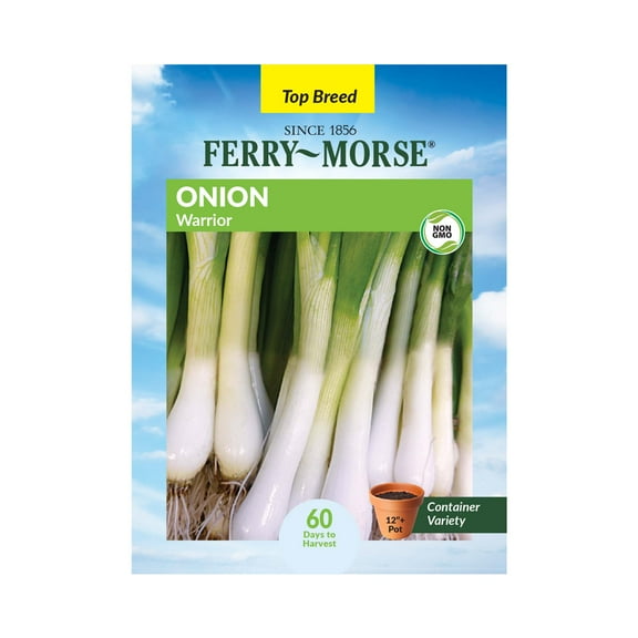 Ferry-Morse 500MG Onion Warrior Perennial Vegetable Seeds, Full Sun