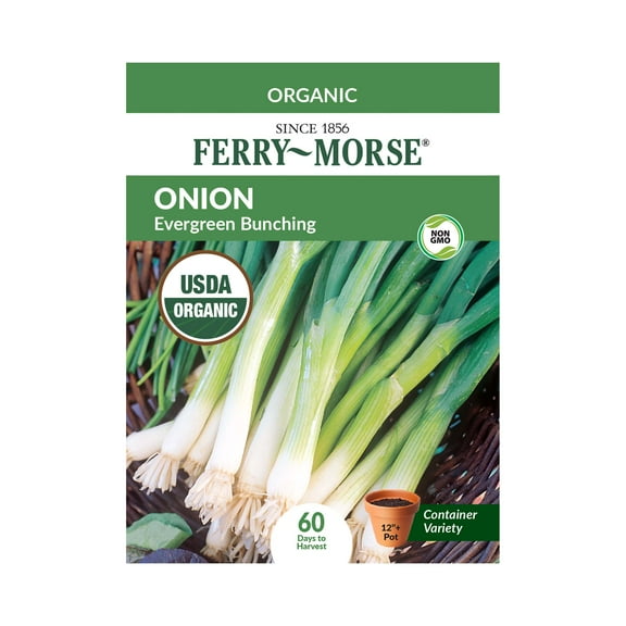 Ferry-Morse Organic 500MG Onion Evergreen Bunching Perennial Vegetable Seeds, Full Sun