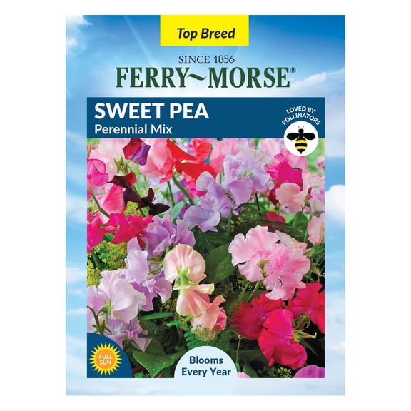 Ferry-Morse 500MG Sweet Pea Perennial Flower Seeds, Full Sun