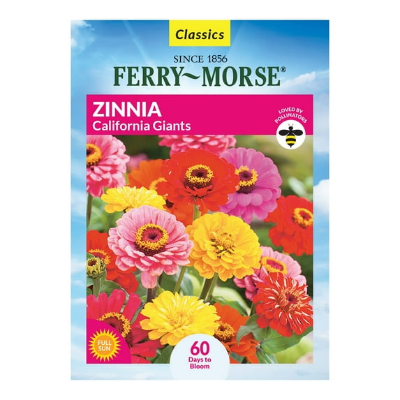Ferry-Morse 500MG Zinnia Giants of California Mixed Colors Annual Flower Seeds, Full Sun