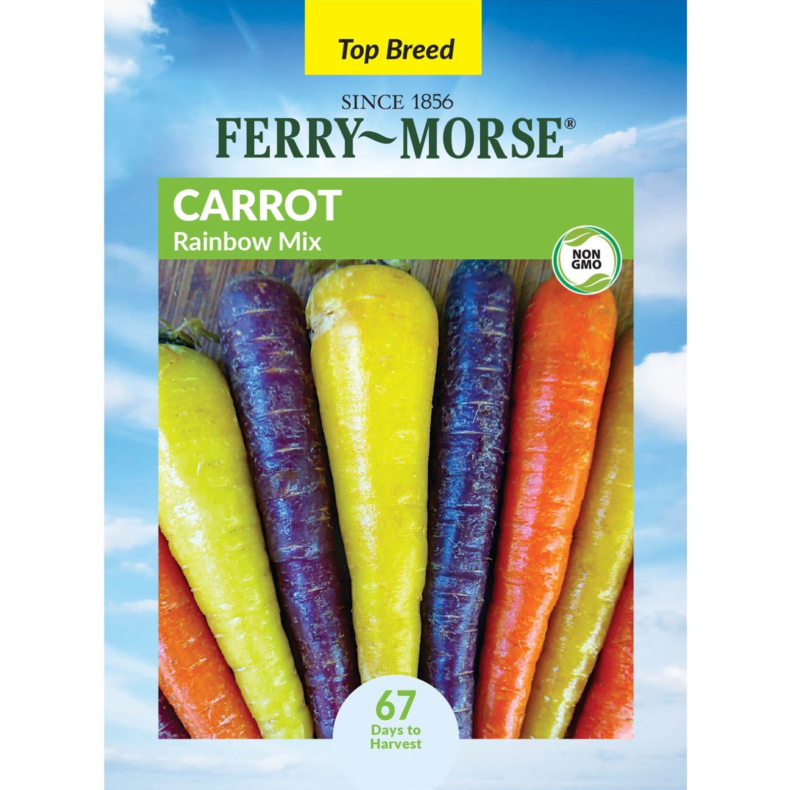 Ferry-Morse 525MG Carrot Rainbow Mix Annual Vegetable Seeds, Full