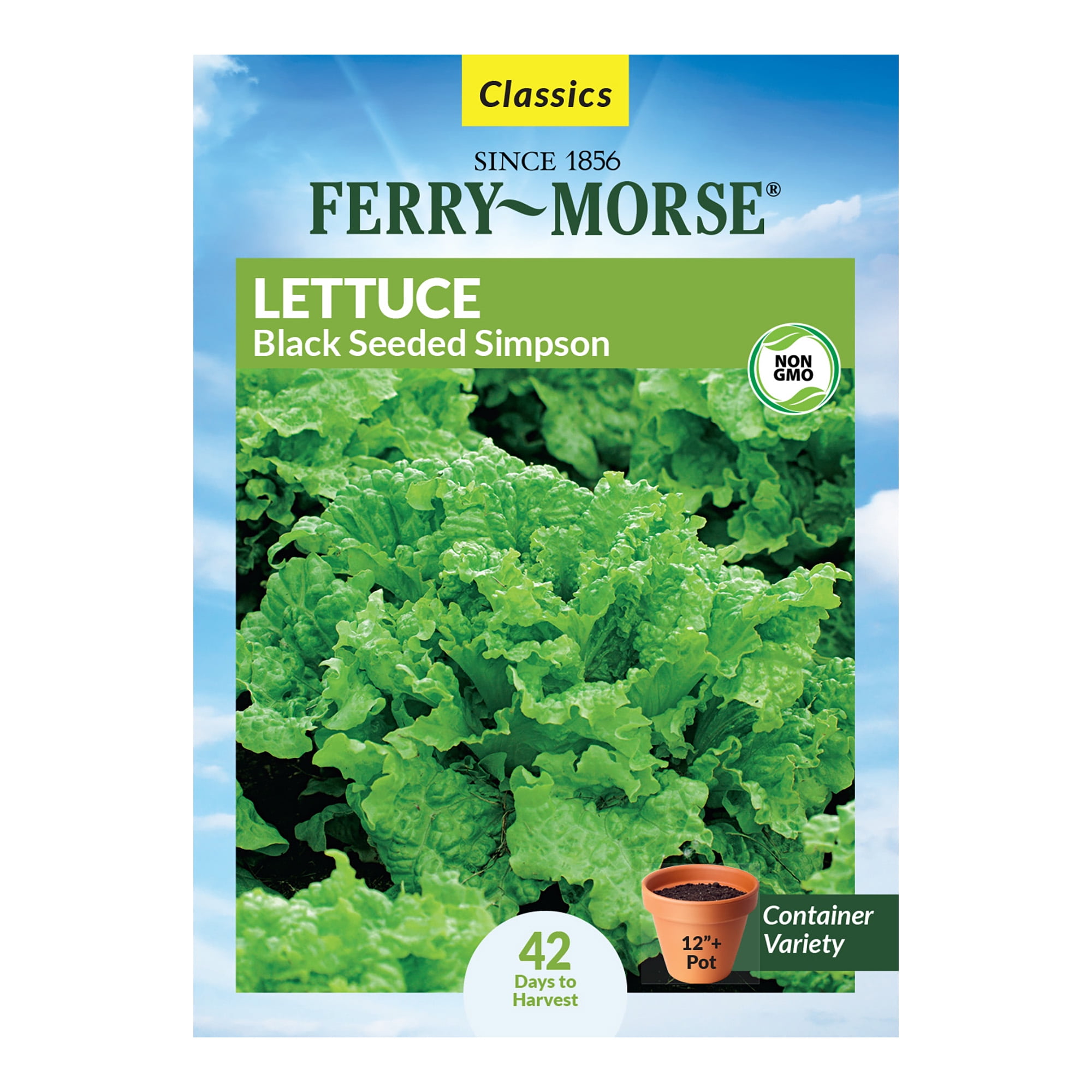 FerryMorse 540MG Lettuce Black Seeded Simpson Vegetable Plant Seeds