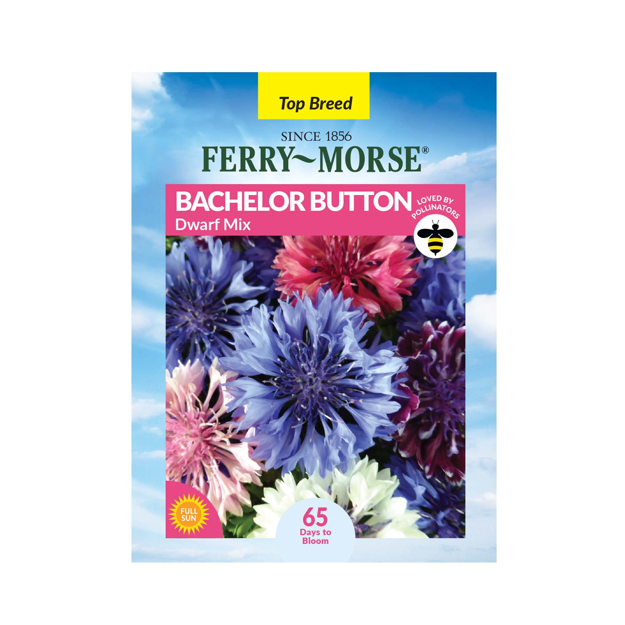 Flower Grow Seed