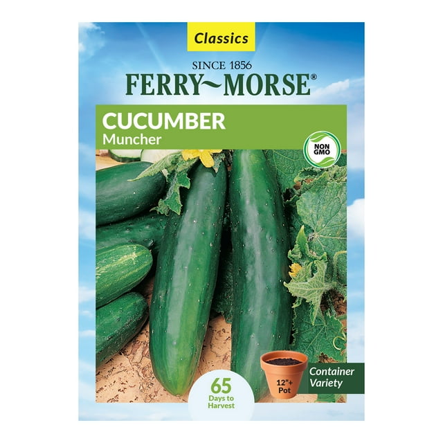 FerryMorse 600MG Cucumber Muncher Vegetable Plant Seeds Full Sun