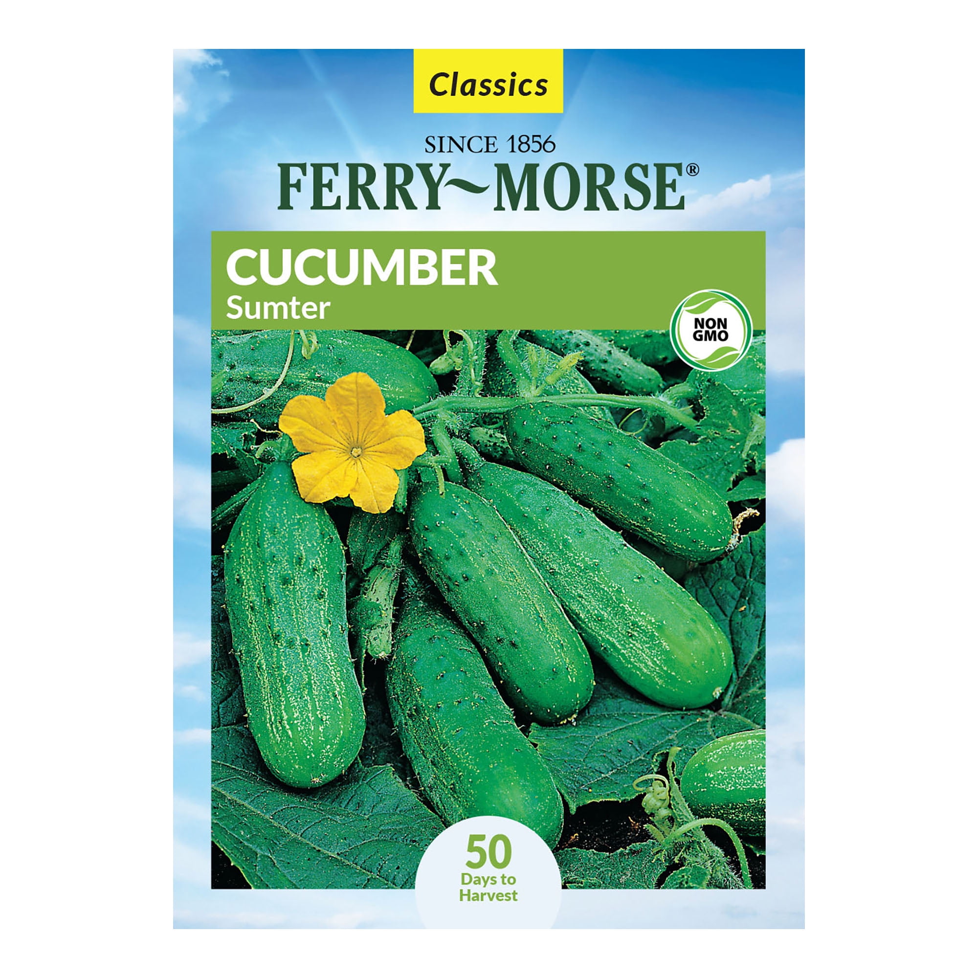 FerryMorse 600MG Cucumber Sumter Vegetable Plant Seeds Full Sun