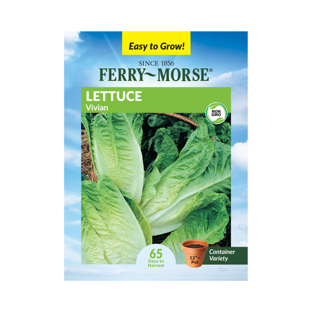 FerryMorse 600MG Lettuce Vivian Vegetable Plant Seeds Full Sun