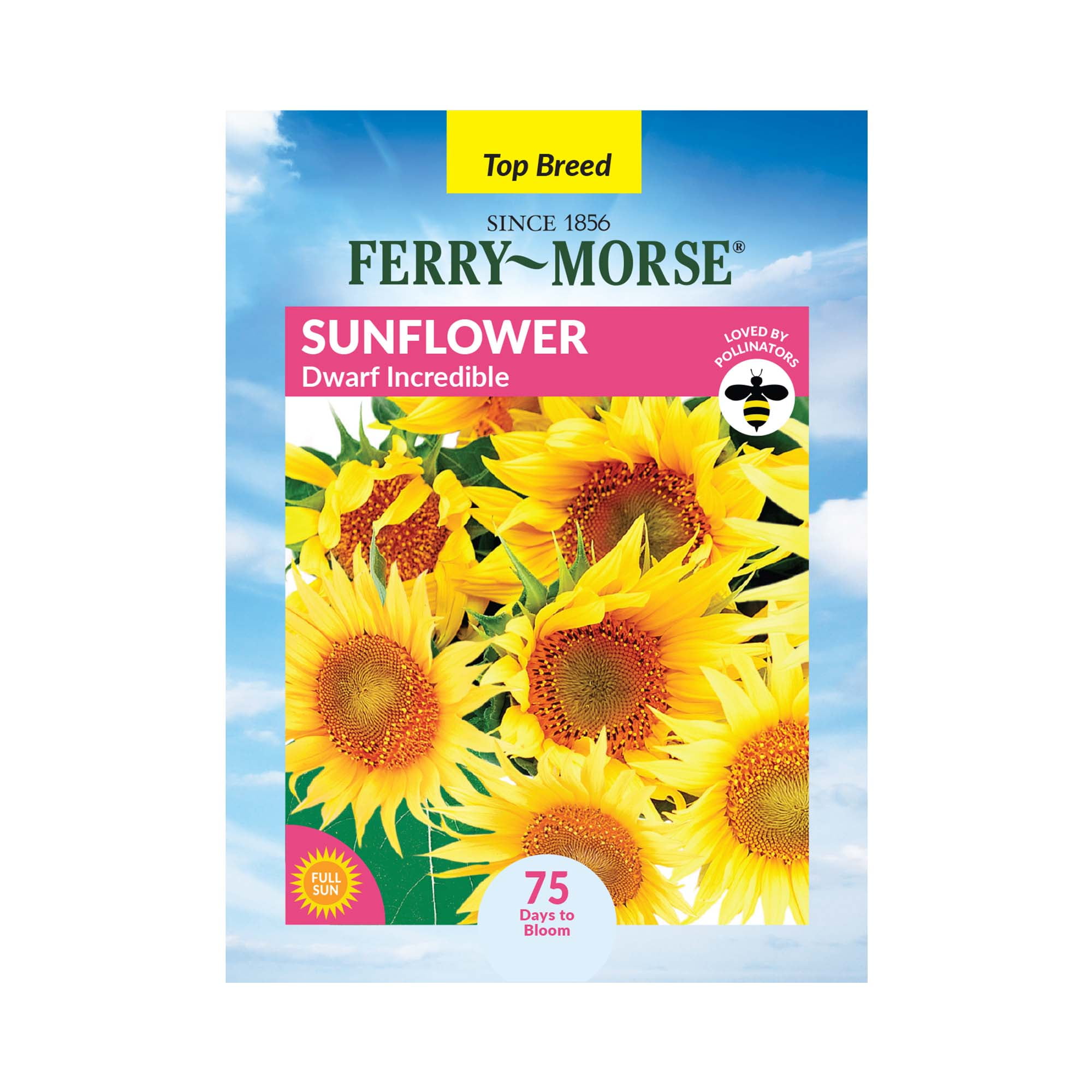 Ferry-Morse 600MG Sunflower Dwarf Incredible Annual Flower Ferry-Morse 600MG Sunflower Dwarf Incredible Annual Flower