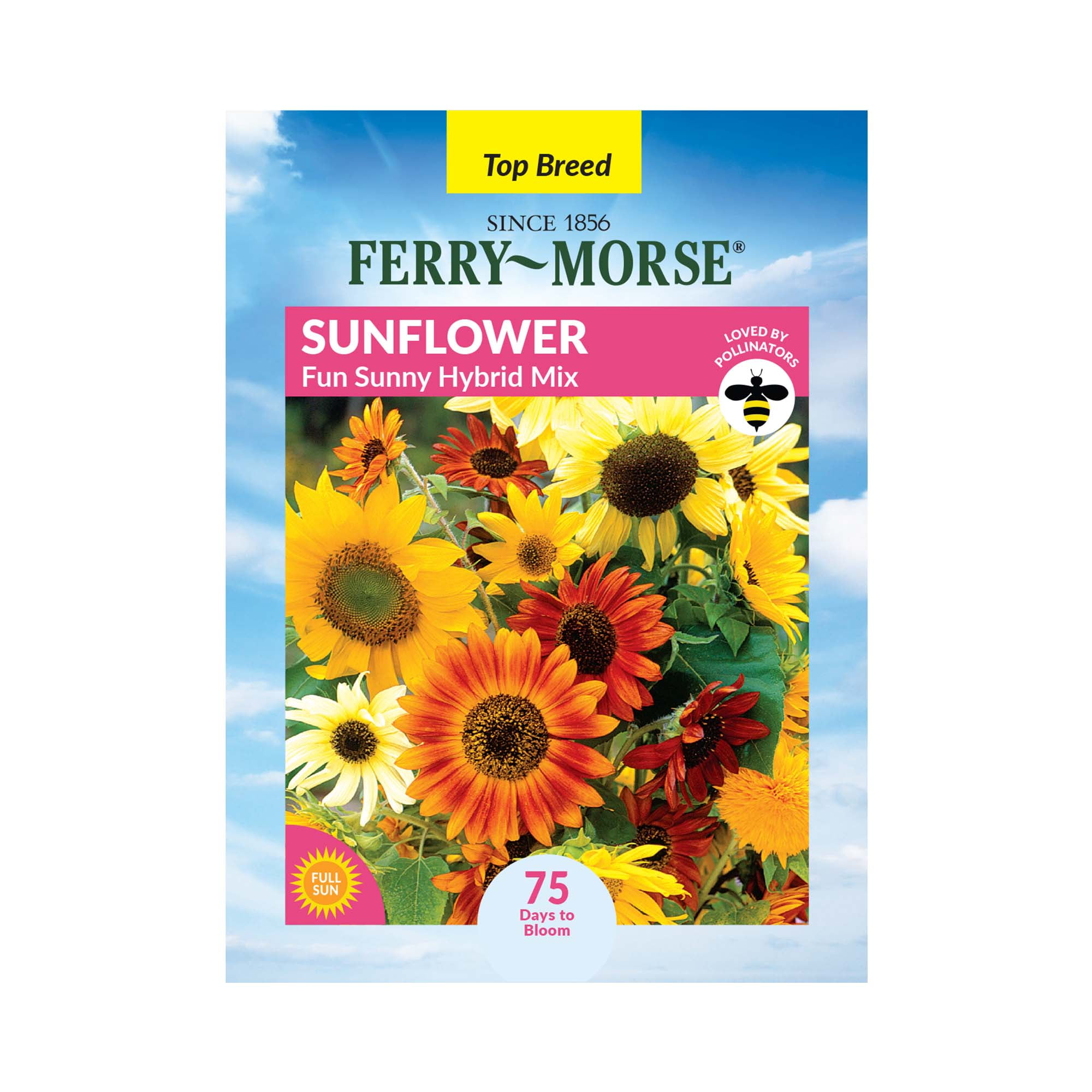 Ferry-Morse 625MG Sunflower Fun Sunny Hybrid Mix Annual