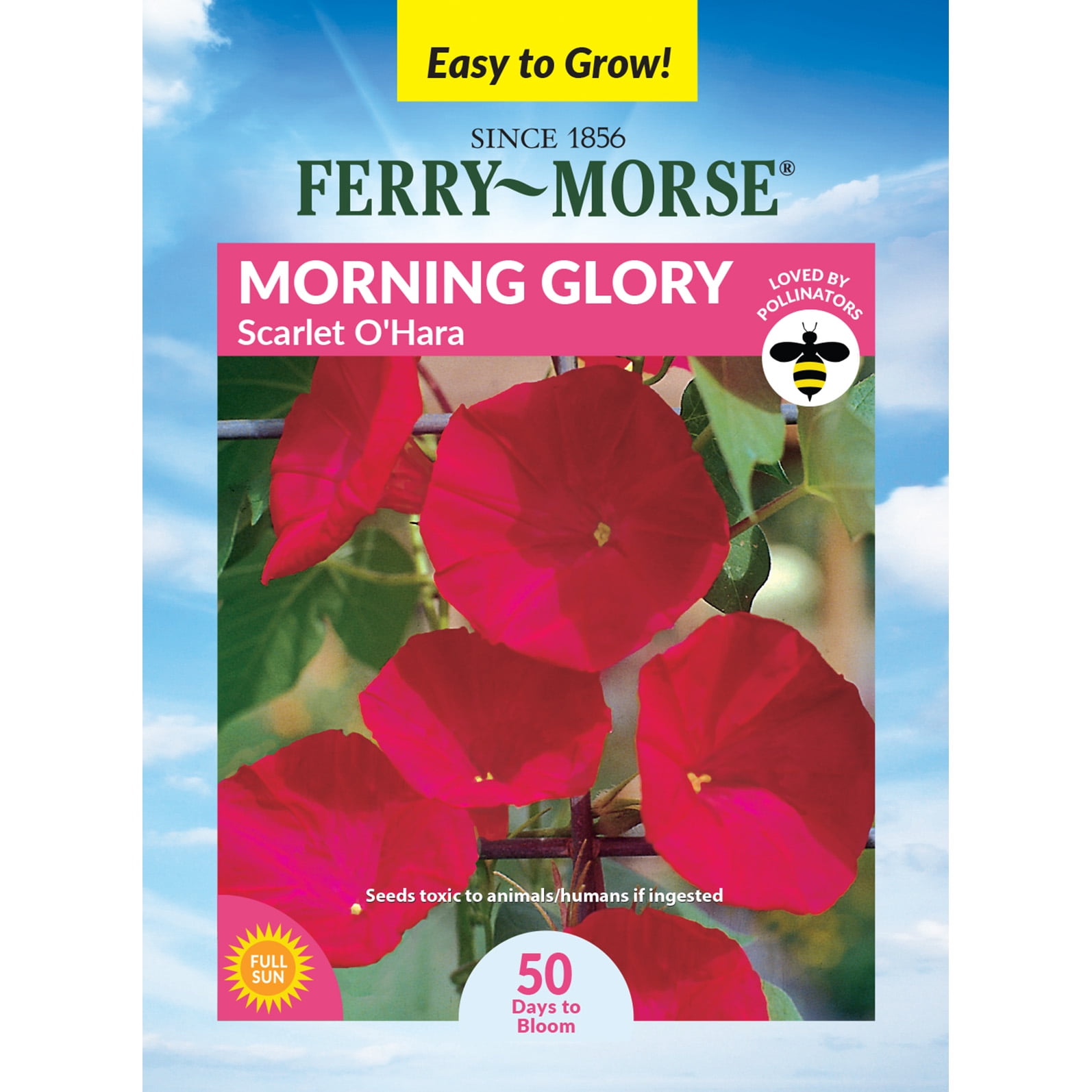 Flower Plants Seeds Flowers Zone 9