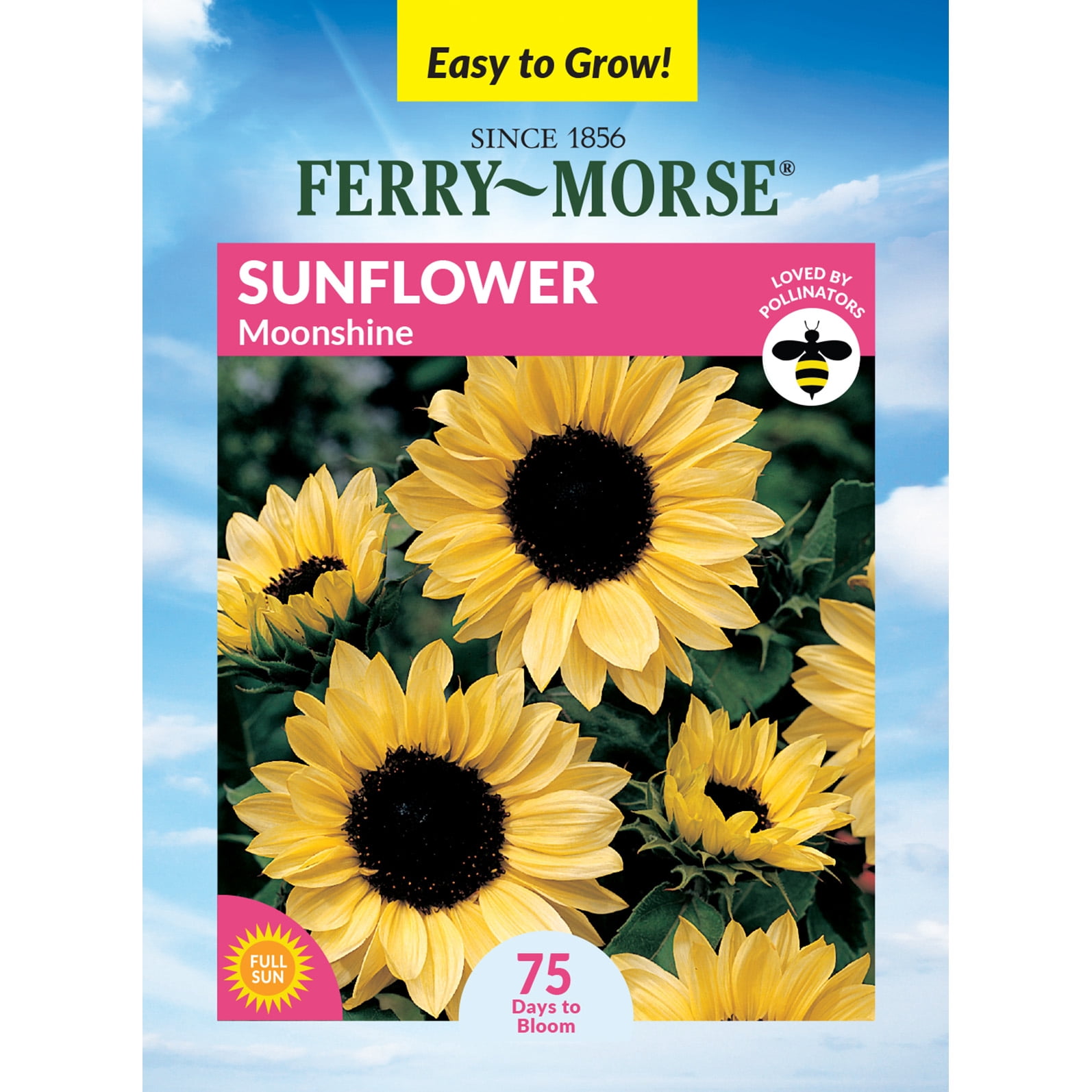 Ferry-Morse 650MG Sunflower Moonshine Annual Flower Seeds, Full